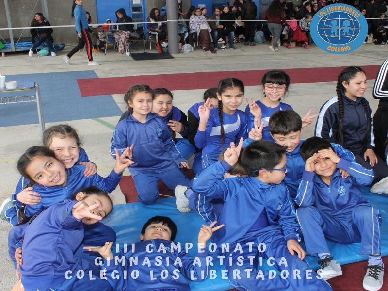 Colegio Los Libertadores