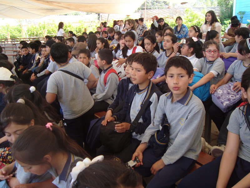 Colegio