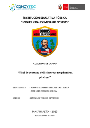 I. E. E. Miguel Grau Seminario