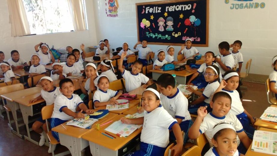 Colegios En Chincha Baja